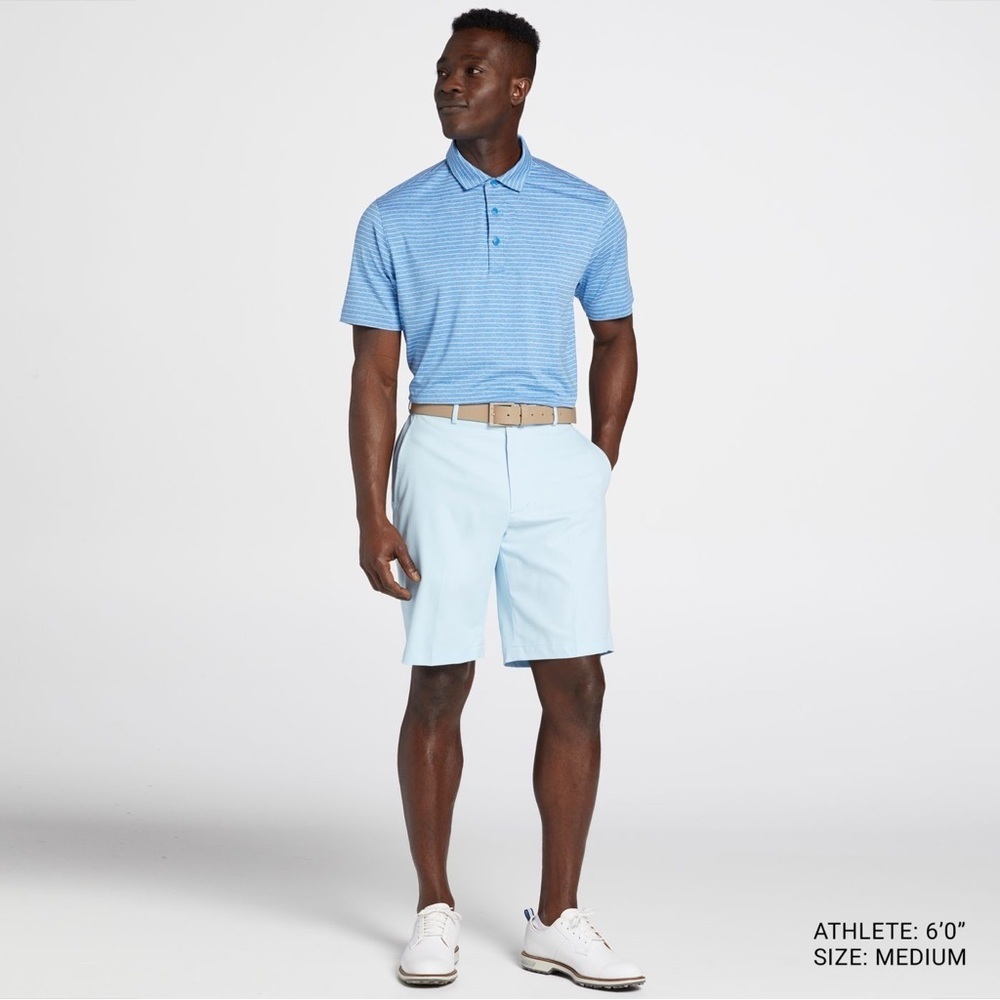 NEW Walter Hagen Men's Performance 11 Micro Lines Golf Shorts Size 32 w/ 9” seam - Picture 6 of 8